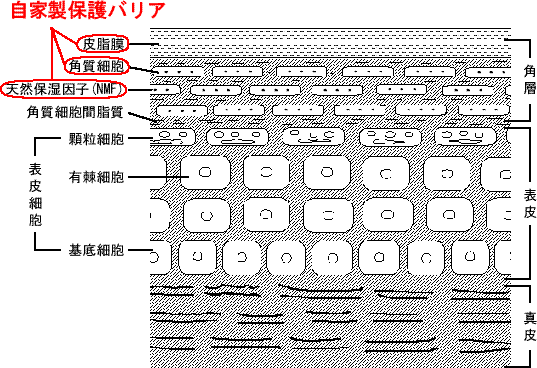 バリア.gif